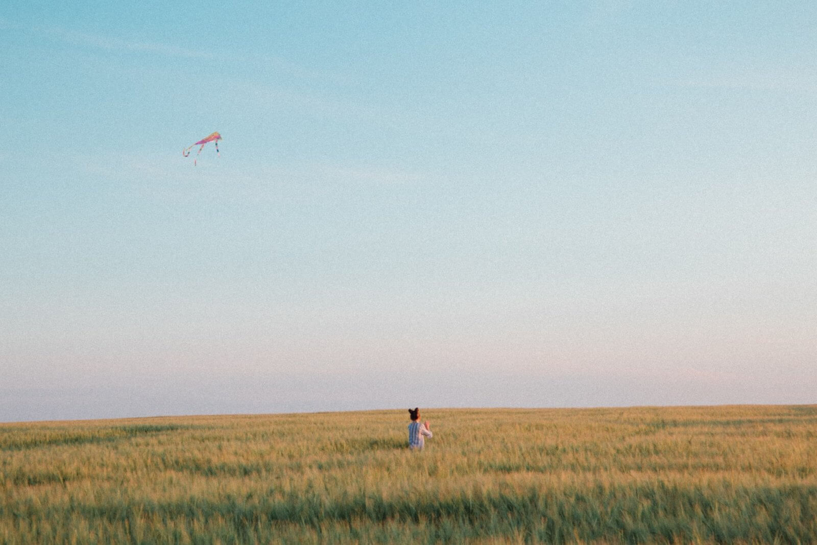 Person flying kite in meadow