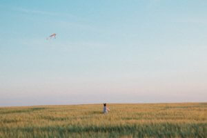 Person flying kite in meadow
