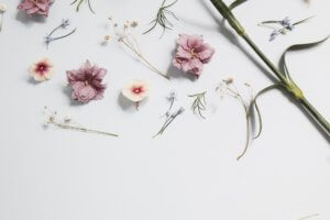 Deconstructed flowers set on white table