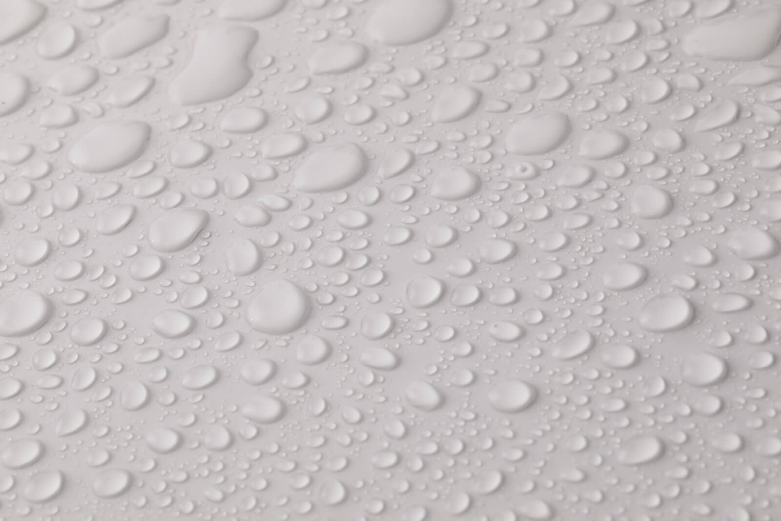 Drops of water on white background