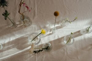 Single stemmed-flowers in different sized glass vases