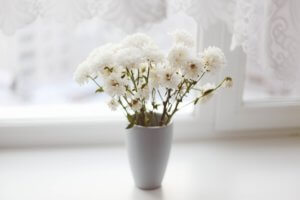 Small white flowers in small white vase on window sill