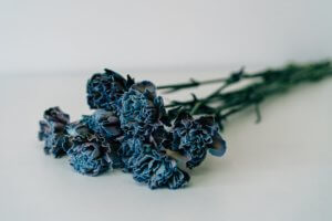 Small bouquet of small blue flowers on white surface
