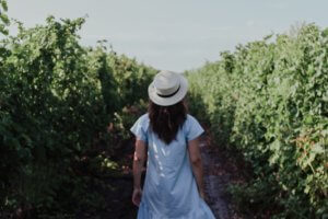 Girl in hat and blue dress walking away through hedges