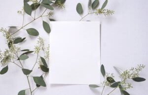 Blank piece of paper with green leaves